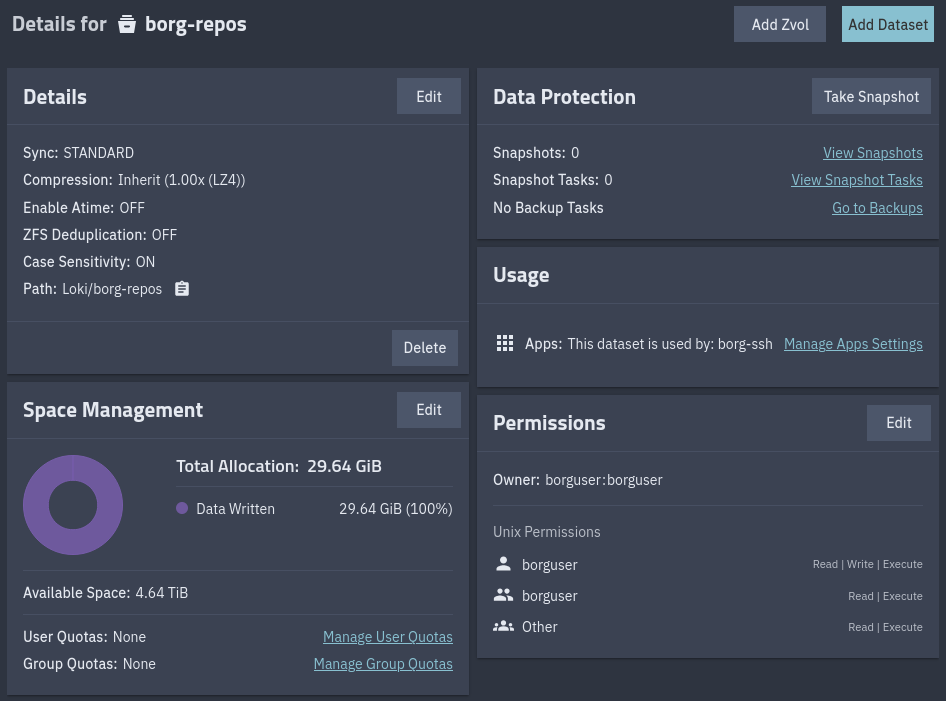 Borg dataset configuration in TrueNAS